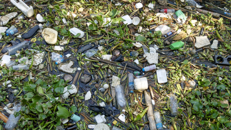 Garda de Mediu a controlat aproape toate localitatile din tara: „Gradul de reciclare a deseurilor a scazut, in loc sa creasca” Imagine