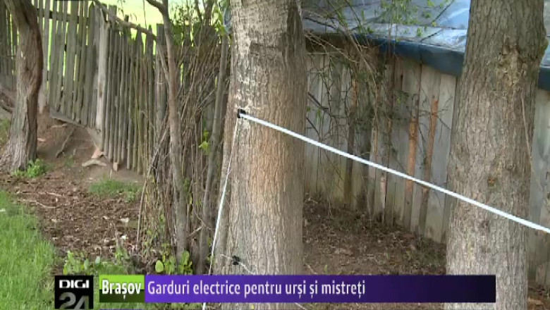 Garduri electrice pentru ursi si mistreti  Imagine