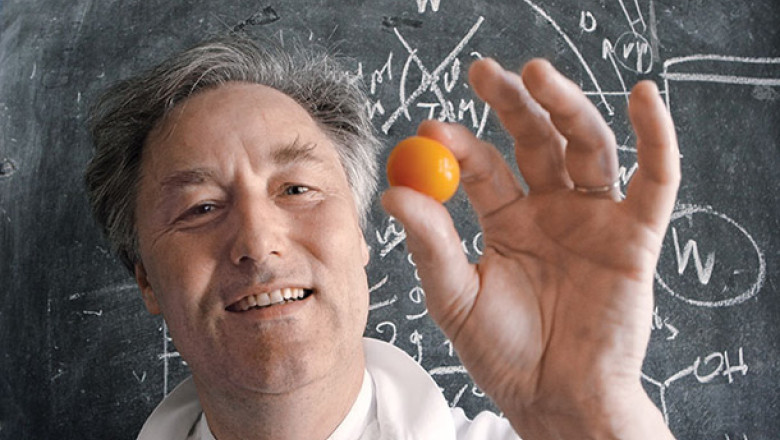 Gastronomia moleculara, viitorul alimentatiei Imagine