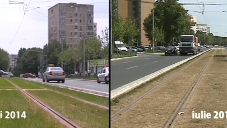 Gazon de 15.000 de euro transformat in fan. Primaria Capitalei vrea sa extinda investitia Imagine