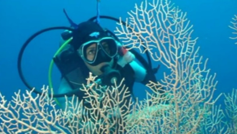 Generatia X|Digi24. Ligia Ardelean, unul dintre cei mai renumiti scafandri din Marea Rosie Imagine