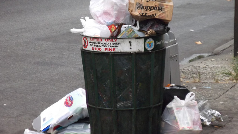 Germania cere ajutorul politistilor romani pentru a-i educa pe imigranti Imagine