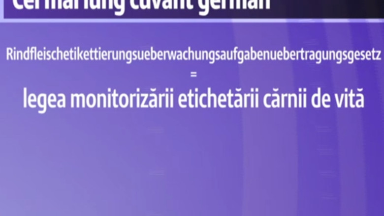 Germanii au renuntat la cel mai lung cuvant din vocabular Imagine