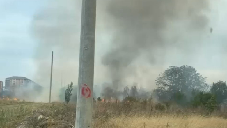 Gest extrem al unui barbat alergic la ambrozie: A dat foc unui de teren de 25 de hectare de la marginea Capitalei Imagine