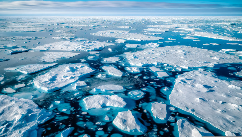 Gheata din Oceanul Arctic se topeste intr-un ritm alarmant, dar un virus gigant ar putea fi solutia Imagine