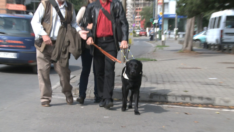 Ghid pentru o lume in intuneric Imagine