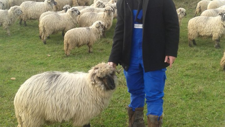 Ghita ciobanul a ajuns in atentia BBC Imagine