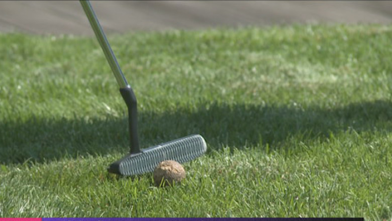 Golful, afacerea momentului in Banat Imagine