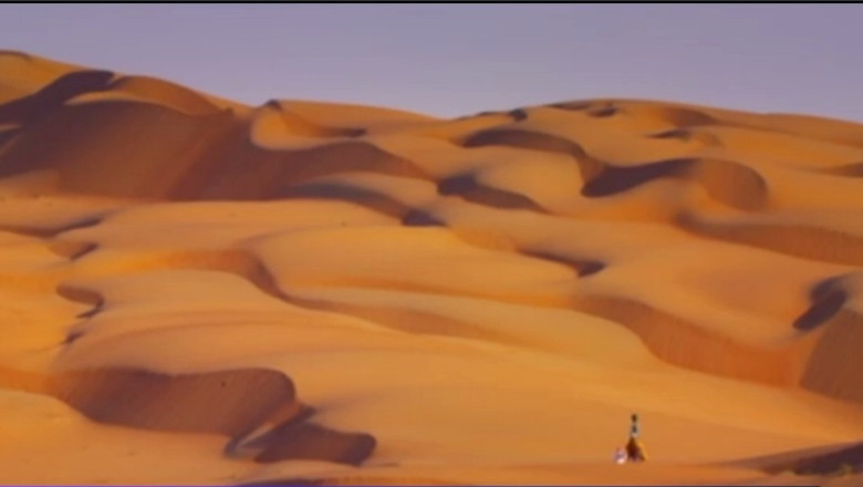 Google Desert View, serviciul oferit de o camila Imagine