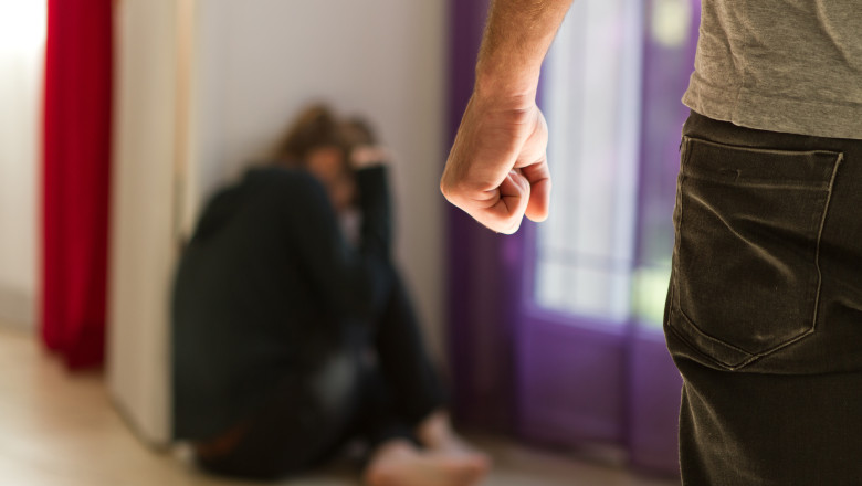 Gorghiu: Agentia pentru Egalitate de Sanse ar putea fi comasata intr-o perioada in care violenta domestica e mai grava ca niciodata Imagine