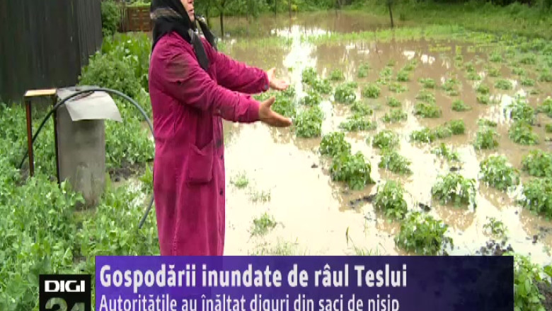 Gospodarii inundate de raul Teslui. Autoritatile au inaltat diguri din saci de nisip Imagine