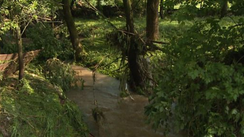 Gospodarii inundate in Mures Imagine