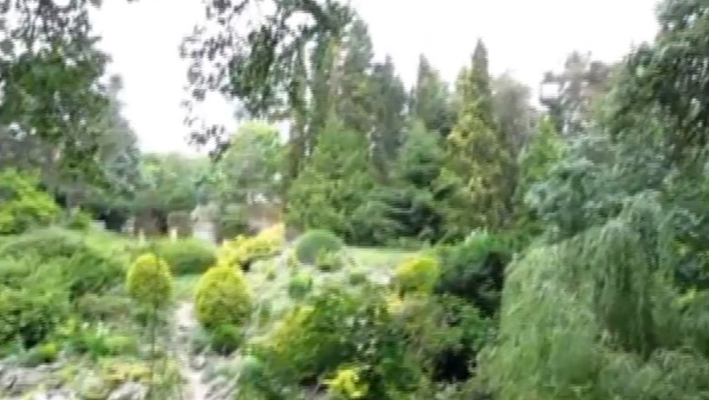 Gradina cu minicascada, la Techirghiol. In viitoarea amenajare botanica se vor putea organiza si cununii Imagine