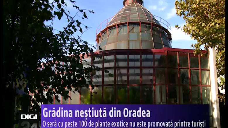 Gradina nestiuta din Oradea: locul unde giganticii Sequoia au 10 centimetri, iar ficusii - 15 metri Imagine