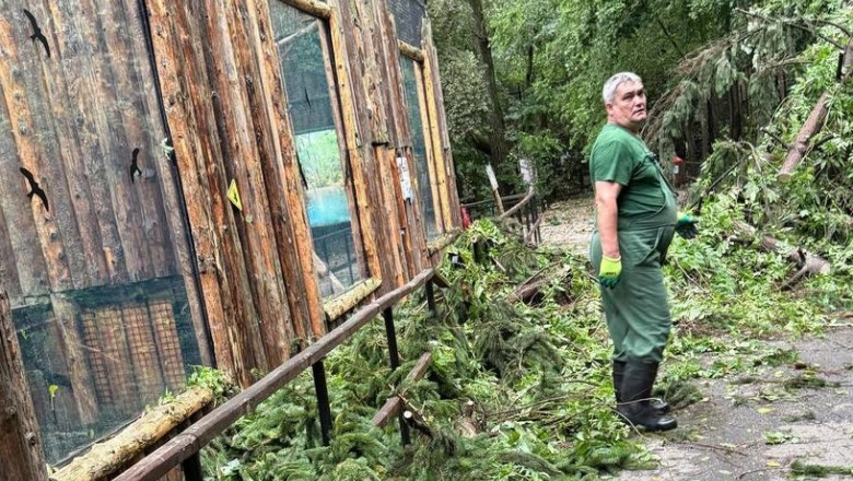 Gradina Zoologica Bucuresti, inchisa temporar din cauza furtunii de ieri. Care este starea animalelor Imagine