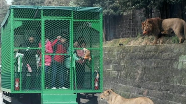 Gradina zoologica in care puteti admira animalele in tarcurile sau custile lor Imagine