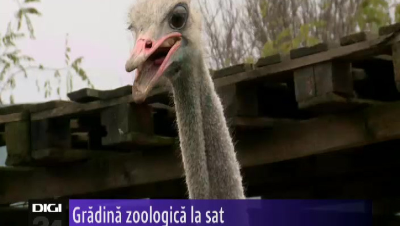 Gradina zoologica la tara Imagine