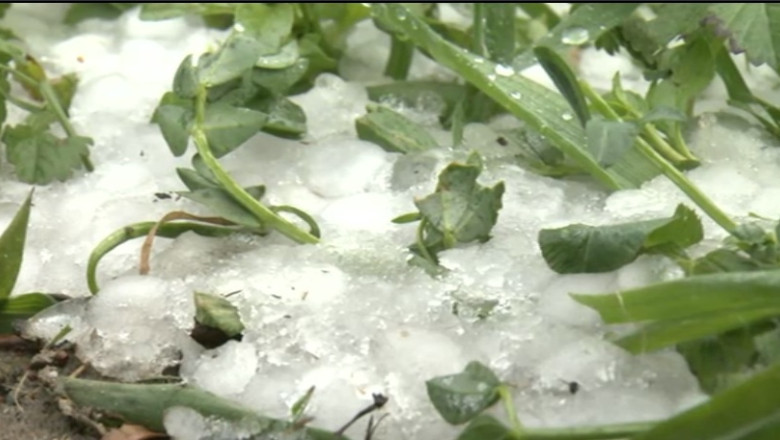 Gradini distruse de grindina in Gorj Imagine