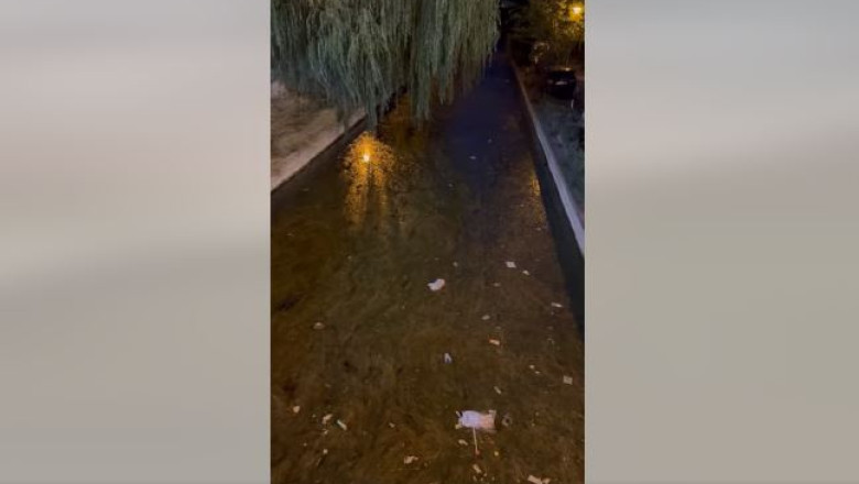 „Gratare, seminte si manele”. Directorul ANPC: Paraul care face legatura dintre Siutghiol si Lacul Tabacariei e focar de infectie Imagine