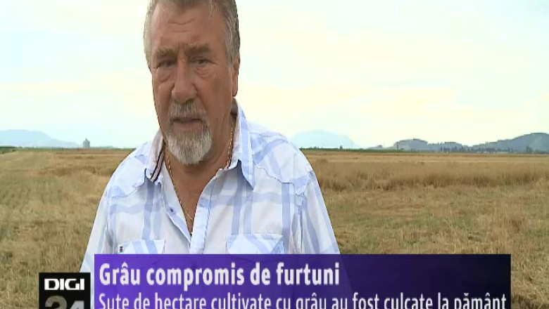  Grau compromis de furtuni  Imagine