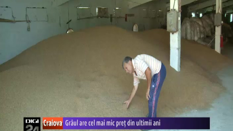 Graul romanesc are cel mai mic pret din ultimii trei ani. Recolta bogata le aduce venituri mici fermierilor din Dolj Imagine