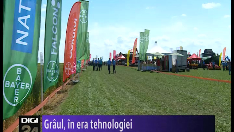 Graul si tehnologia. Agricultorii din Bihor si Satu Mare recunosc ca au nevoie de soiuri puternice si utilaje moderne Imagine