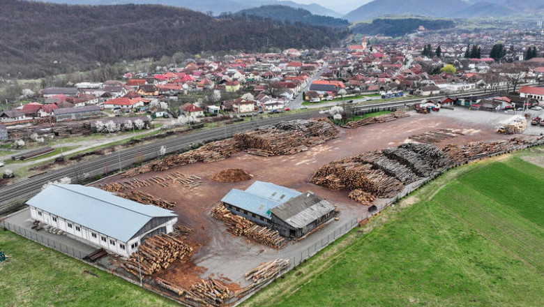 Greenpeace acuza IKEA ca foloseste lemn „din ultimele paduri naturale” din Carpati. Cum raspunde producatorul de mobila Imagine