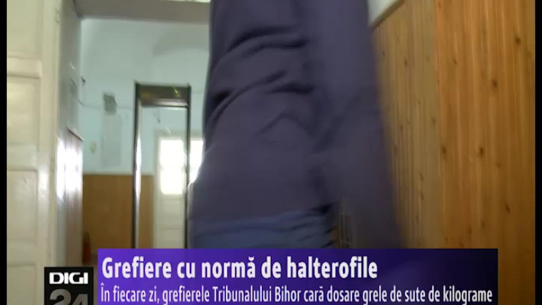 Grefiere cu norma de halterofile. In fiecare zi, grefierele Tribunalului Bihor cara dosare de sute de kilograme Imagine