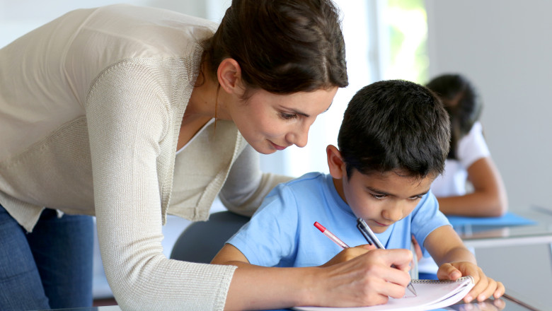 Greva generala in educatie. Sindicalist: In 2 ani va fi o criza puternica de cadre didactice pe discipline precum matematica Imagine