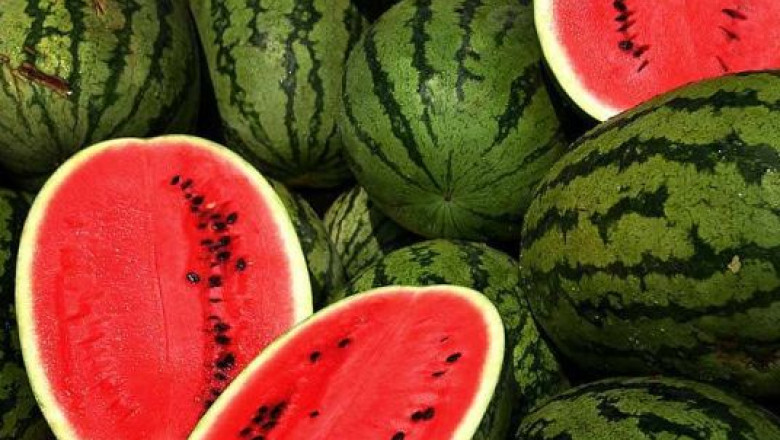 Grindina a distrus culturile de pepeni. Pe piata se gaseste doar marfa de import Imagine