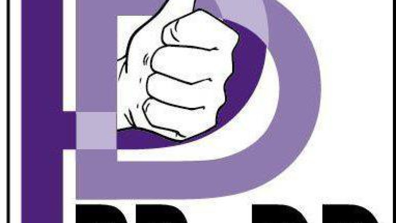 Grupul Parlamentar PP-DD: "delegatia care a participat la discutiile cu presedintele Klaus Iohannis nu ne reprezinta" Imagine