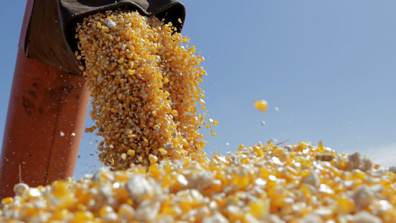 Guvernul aloca 150 de milioane de euro granturi pentru capacitatea de productie in industria alimentara Imagine