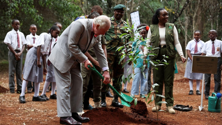 Guvernul din Kenya a dat o zi libera pentru ca toti cetatenii sa planteze copaci Imagine