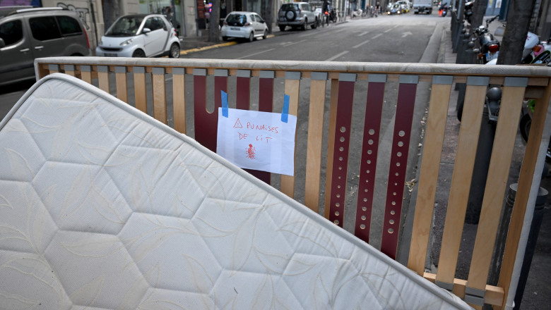 Guvernul francez cere populatiei sa nu „cada in psihoza”: „Nu exista cazuri confirmate de plosnite in metrouri si trenuri” Imagine