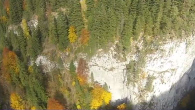 Guvernul interzice dronele. Ecologistii spun ca nu mai pot monitoriza taierea padurilor Imagine