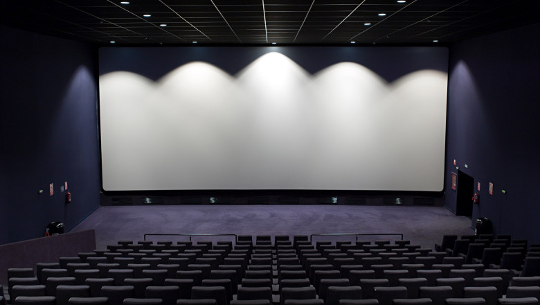 Guvernul reporneste schema de ajutor de stat pentru industria cinematografica si infiinteaza Oficiul de Film si Investitii Culturale Imagine