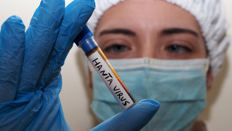 Hantavirusul pune Europa in alerta. UE trimite de urgenta primele doze de tratament experimental