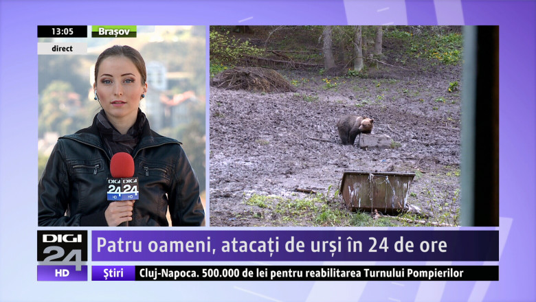 HARGHITA. Patru oameni, atacati de ursi in 24 de ore Imagine