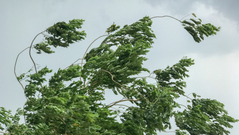 HARTA Cod galben de vant puternic in zece judete, pana duminica dimineata. Cum va fi vremea in Bucuresti Imagine