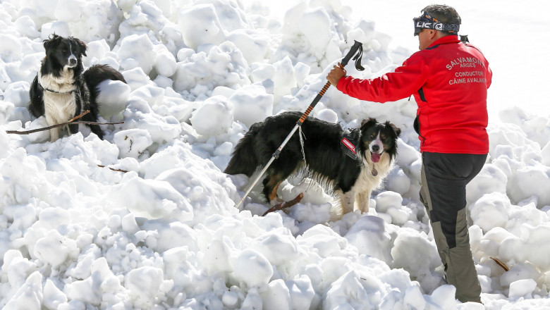 Harta riscului de avalanse in Muntii Carpati. Salvamontistii au avut peste 100 de interventii in 24 de ore Imagine