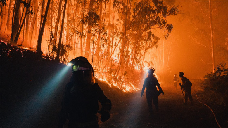 „Hatisul si padurile invadeaza satele”: Cum contribuie abandonarea zonelor rurale la producerea incendiilor devastatoare din Europa Imagine