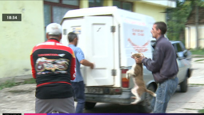 Hingheri in scolile din Timisoara Imagine