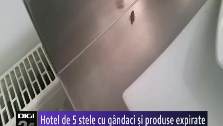 Hotel de 5 stele cu gandaci si produse expirate  Imagine