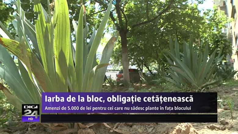 Iarba din fata blocului, obligatie cetateneasca. Locatarii ar putea plati amenzi daca nu ingrijesc spatiile verzi Imagine