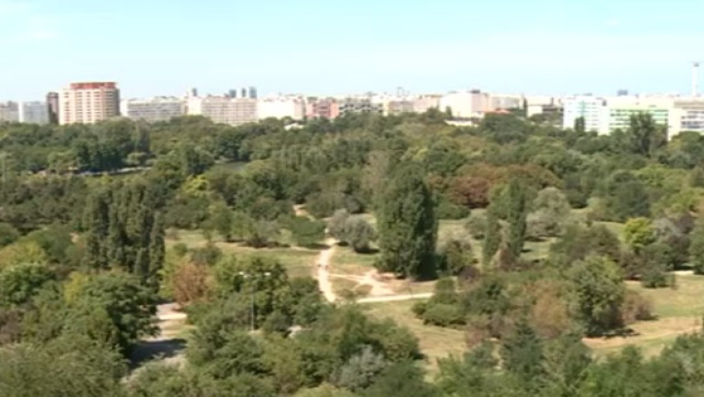 Iarba este mai scumpa in sectorul 3: 300 de milioane de lei pentru ingrijirea spatiilor verzi Imagine