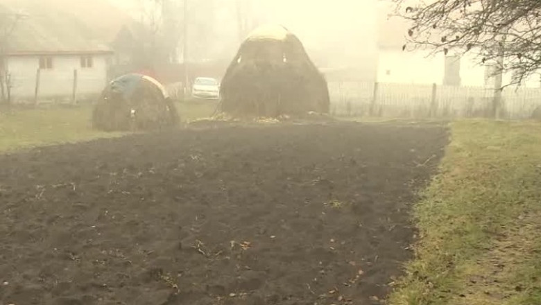 Iarna grea pentru agricultura Imagine