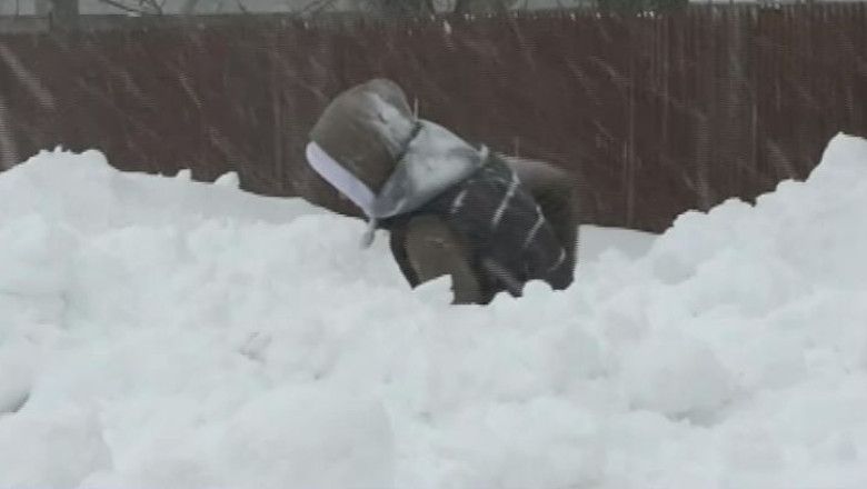 IARNA GREA. Un tren cu 100 de calatori a ramas blocat in judetul Calarasi Imagine