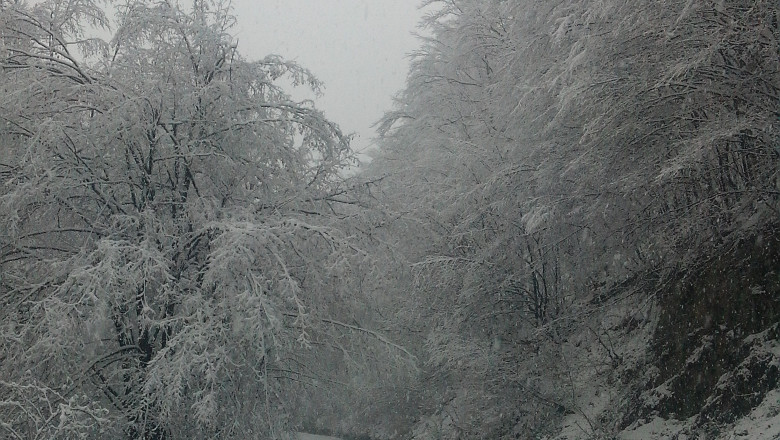 Iarna in Apuseni. Drumul spre Stana de Vale a fost acoperit azi de zapada Imagine