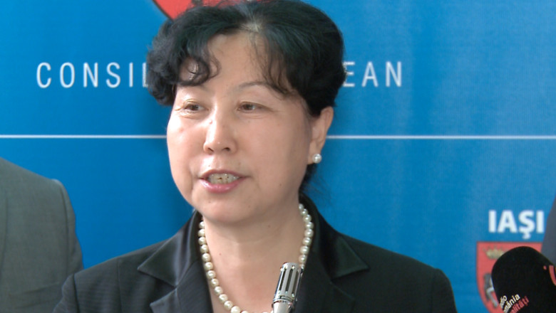 IASI. Chinezii vor sa colaboreze in domeniile educatiei, industriei si IT Imagine
