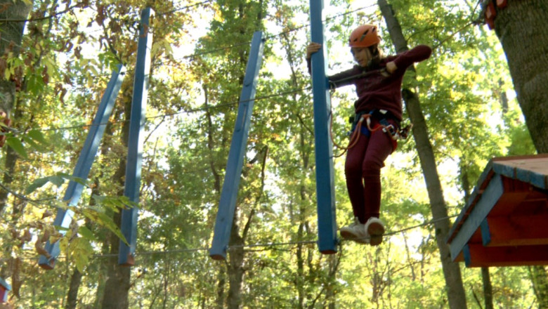 IASI. Concurs de catarat in copaci, la Ciric. Cei mai rapizi concurenti au primit premii in bani Imagine